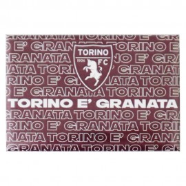 MAGNETE IN METALLO TORINO FC
