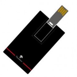 CHIAVETTA USB 8GB MODELLO CARTA DI CREDITO STEMMI ARALDICI
