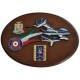 CREST ARALDICO AEREI F-86 - G91 PAN - MB 339 PAN FRECCE TRICOLORI MIS CM 22,5 X 17,5