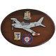 CREST ARALDICO AEREI SF.260EA AERONAUTICA MILITARE MIS CM 22,5 X 17,5