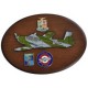CREST ARALDICO AEREI S.208M AERONAUTICA MILITARE MIS CM 22,5 X 17,5