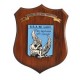 CREST ARALDICO CON STEMMA S.S.A.M CASERTA MIS CM 22,5 X 17,5