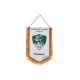 GAGLIARDETTO PENTAGONALE 28X20CM COMANDO TRUPPE ALPINE