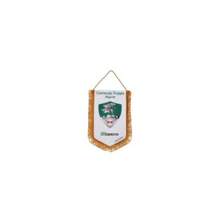GAGLIARDETTO PENTAGONALE 28X20CM COMANDO TRUPPE ALPINE