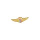 DISTINTIVO SMALTO A FREDDO AVIAZIONE NAVALE