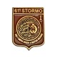 DISTINTIVO DA CAMICIA 23X32MM IN METALLO CON STEMMA ISTRUTTORE 61 STORMO