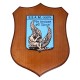 CREST ARALDICO SCUOLA SPECIALISTI A.M. AERONAUTICA MILITARE MIS CM 22,5 X 17,5