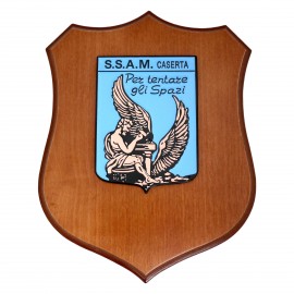 CREST ARALDICO SCUOLA SPECIALISTI A.M. AERONAUTICA MILITARE MIS CM 22,5 X 17,5