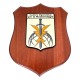 CREST 22,50 X 17,50 CENTRO OPERATIVO DI METEOROLOGIA