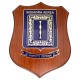 CREST COMANDO SQUADRA AEREA