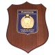 CREST IN METALLO SMALTATO SU BASE IN LEGNO 22,5X17,5CM MILITARI DI TRUPPA