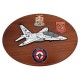CREST IN METALLO SMALTATO AM AERI T 346A