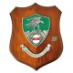 CREST ARALDICO CON STEMMA COMANDO TRUPPE ALPINE 22,5X17,5 CM ESERCITO