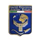 DISTINTIVO DA CAMICIA 25X32MM IN METALLO STEMMA CENTRO FORM. AVIATON ENGLISH