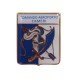 DISTINTIVO DA CAMICIA 25X32MM IN METALLO COM AEROPORTO CAMERI