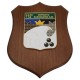 CREST IN METALLO SMALTATO BASE LEGNO CL3 22,50 X 17,50 CM 112 DEPOSITO SUSSIDIARIO