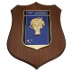 CREST IN METALLO SMALTATO BASE LEGNO CL3 22,50 X 17,50 CM 132 SQUAD RADAR REMOTA