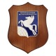 CREST IN METALLO SMALTATO BASE LEGNO CL3 22,50 X 17,50 IST.SCIENZE MILITARI