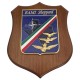 CREST IN METALLO SMALTATO BASE LEGNO CL3 22,50 X 17,50 CM RAMI SHEPPARD