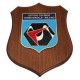 CREST IN METALLO SMALTATO BASE LEGNO CL3 22,50 X 17,50 CM UFF TECNICO TERRITORIALE