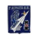 DISTINTIVO DA CAMICIA 25X32MM IN METALLO 2 REPARTO MM