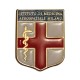DISTINTIVO DA CAMICIA 25X32MM IN METALLO CON STEMMA ISTITUTO DI MEDICINA