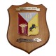 CREST IN METALLO SMALTATO LEGNO CL3 22 X 17 CM 10 REP SANITA' NAPOLI