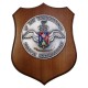 CREST IN METALLO SMALTATO LEGNO CL3 22 X 17 CM 11 RGT TRASMIS CALOTTA SOTTUFFICIALI