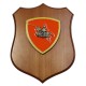 CREST ARALDICO CORPO DI COMMISSARIATO ESERCITO ITALIANO MIS CM 22,5 X 17,5