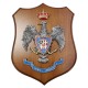 CREST IN METALLO SMALTATOLEGNO CL3 22 X 17 CM RGT LANCIERI NOVARA