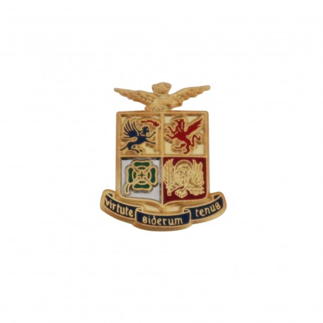 DISTINTIVO IN METALLO LEVIGATO