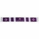 SCIARPA RASO DI POLIESTERE SKYLINE FIORENTINA