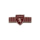 DISTINTIVO IN METALLO SMALTATO CON STADIO