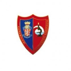 DISTINTIVO CARABINIERI INVESTIGAZIONI SCIENTIFICHE 