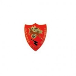 DISTINTIVO CARABINIERI NUCLEO RADIOMOBILE